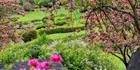Japanese Garden - Cowra 